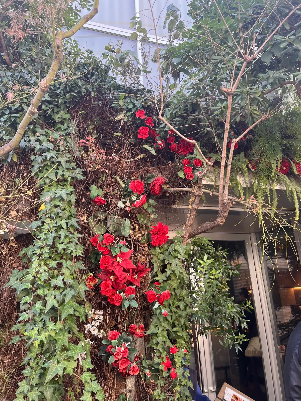 表参道での朝活　おすすめのカフェの画像_2