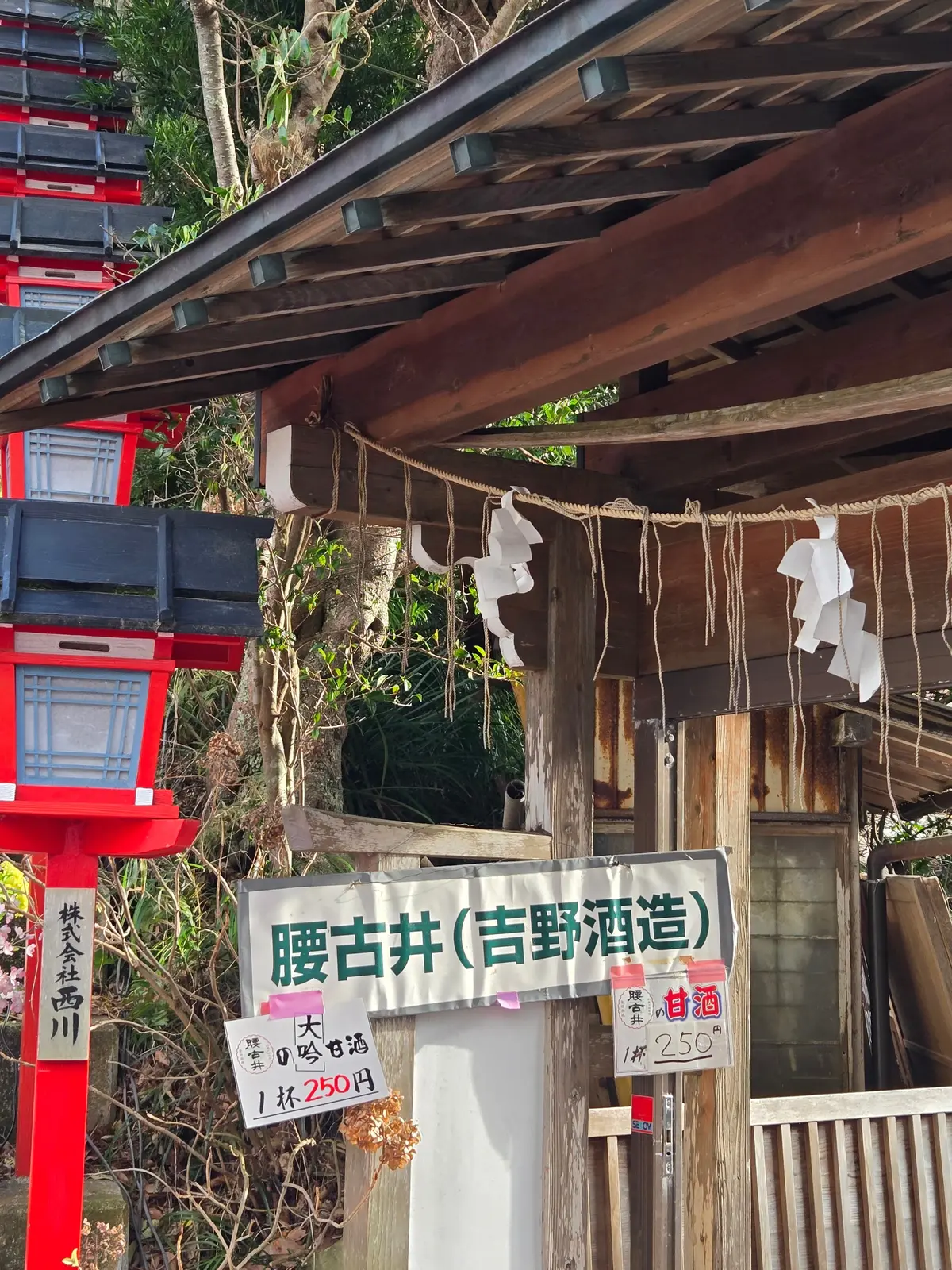 早春の房総半島鉄道旅 後編 かつうらビッの画像_12