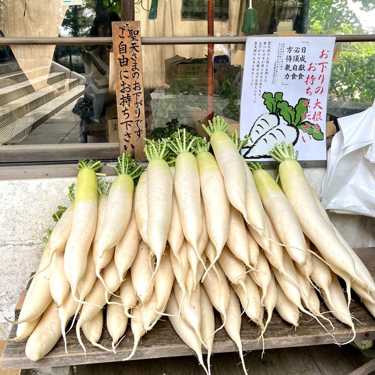 お下がり大根が並ぶ。白くて長い大根が束になって並んでいる。緑の葉が付いており、それぞれに手書きの日本語のラベルが貼られている。背景には木や建物が見える。