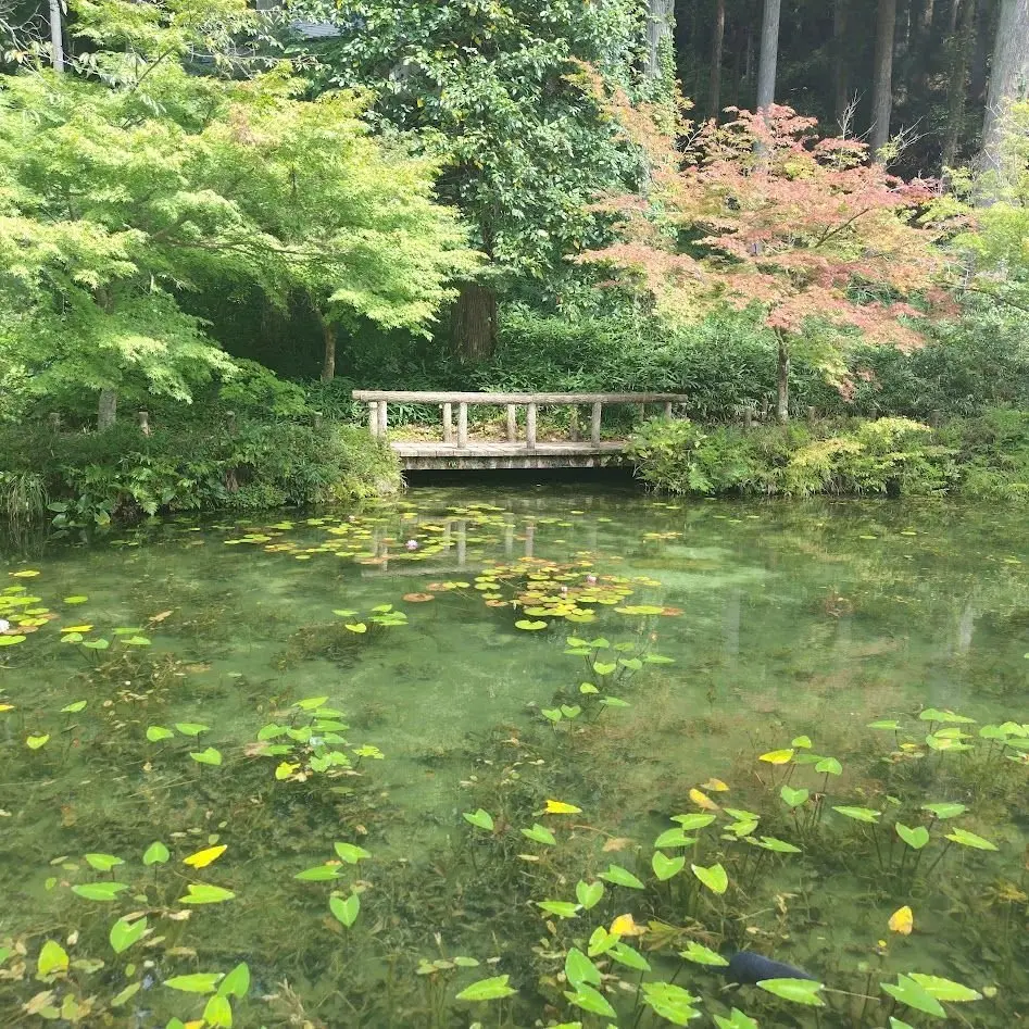 名もなき池
モネの池
