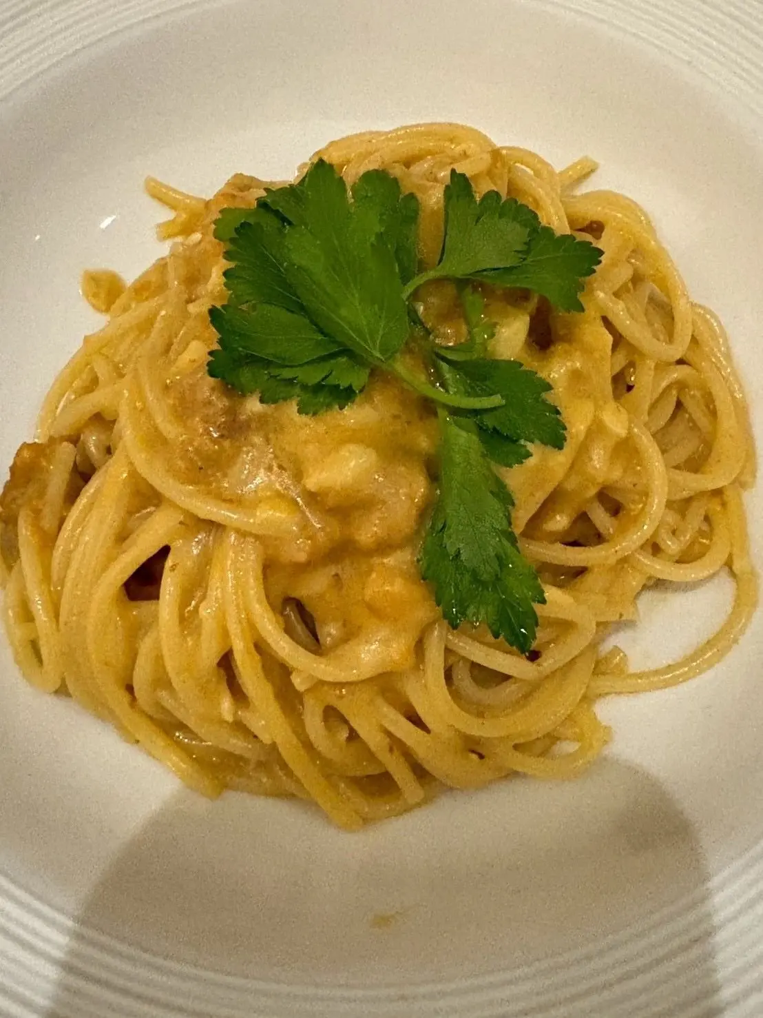 白磁の皿に盛り付けられた、クリーム色のパスタ。リング状のパスタがねじれており、表面には茶色い具材とソースが絡んでいる。上部には鮮やかな緑色のパセリの葉が添えられている。