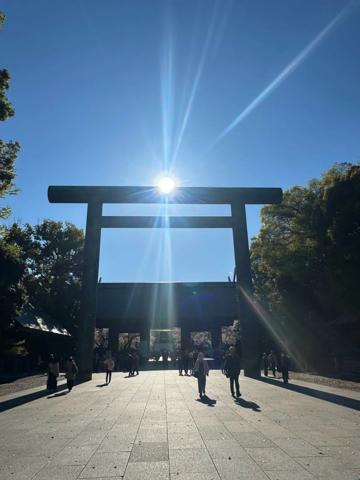 ZARAの上品セットアップで「下村観山展の画像_17