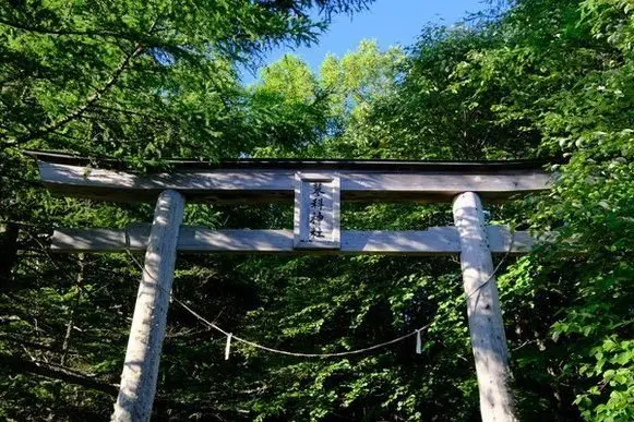 木々に囲まれた鳥居。木造で、額には黒い文字が書かれている。ロープが垂れ下がっており、背景には緑豊かな葉が見える。