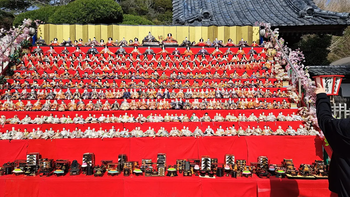 早春の房総半島鉄道旅 後編 かつうらビッの画像_20