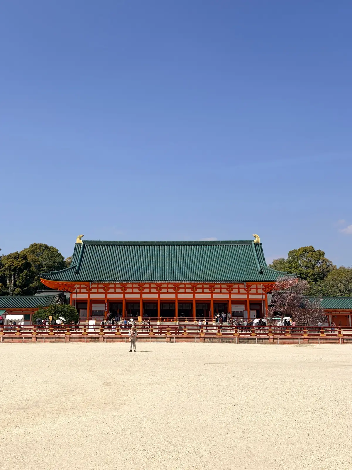 京都、桜さんぽ。満開の桜は天国のよう～平の画像_3