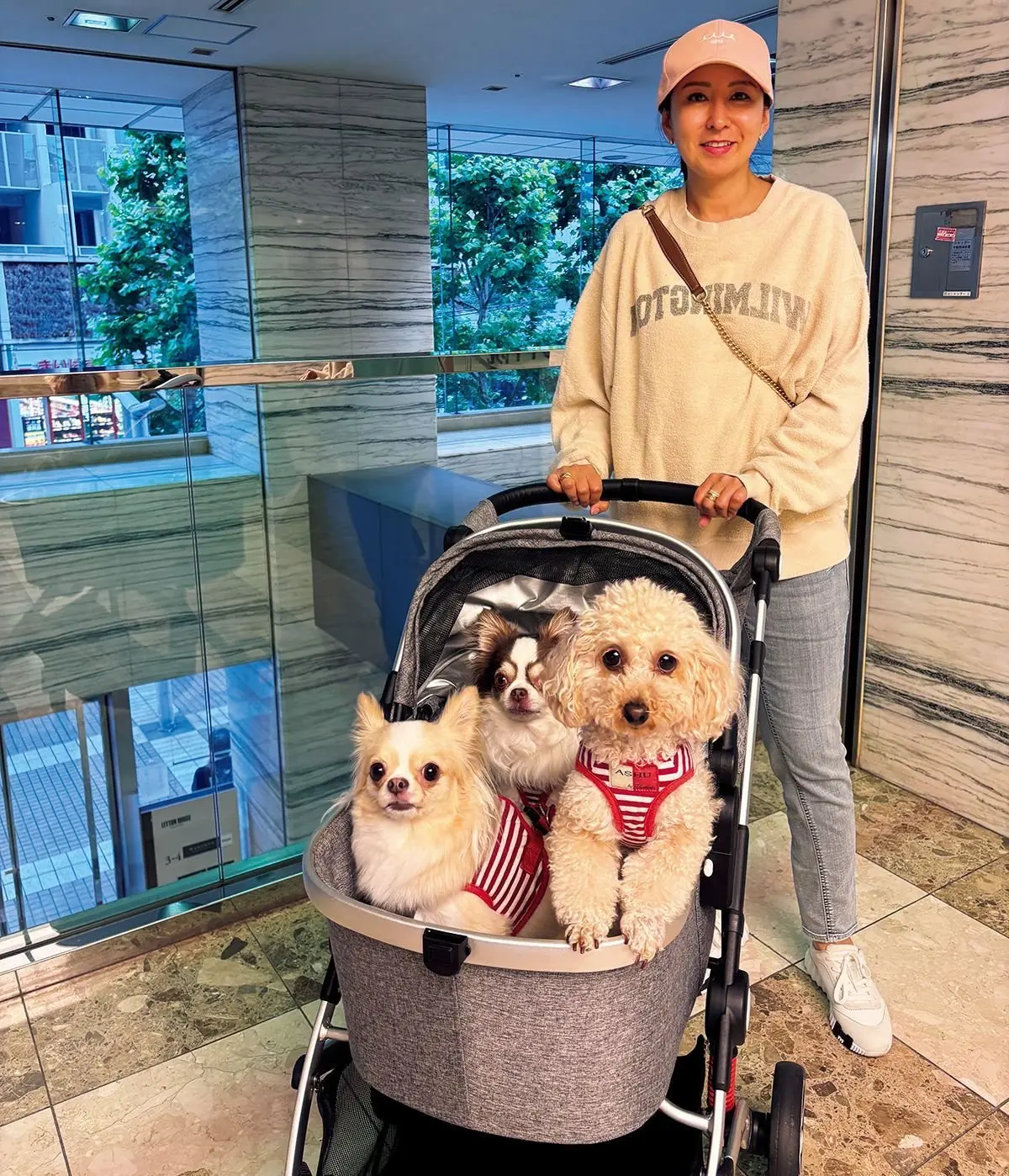 にぎやかな3匹の愛犬たち。大型カートがお役立ち！ （Rindaさん）