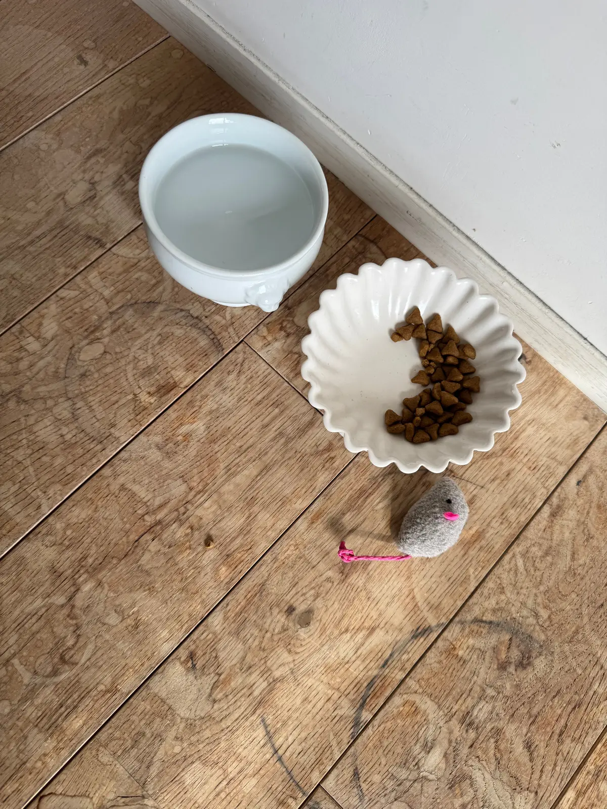 にゃんこに会いに、そして（ついでに）アフの画像_8