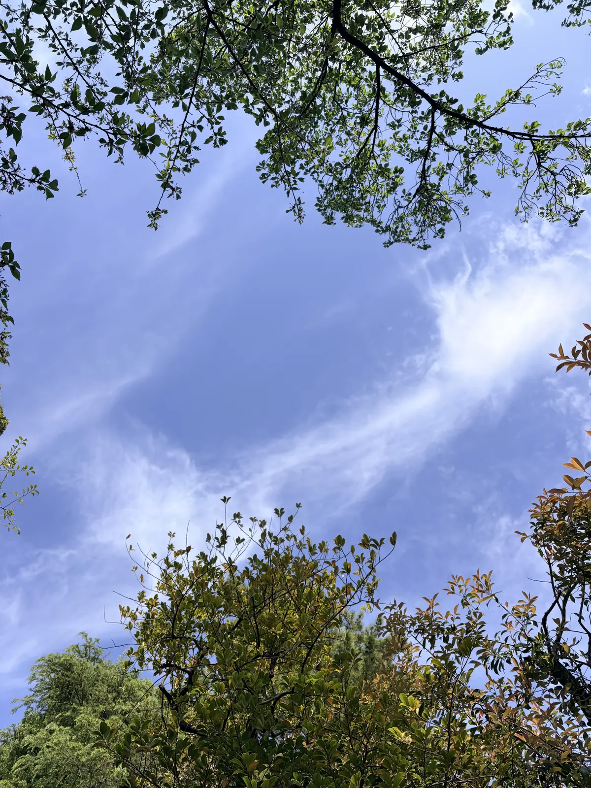 「デニムジャケットxカラーワンピース」大の画像_1