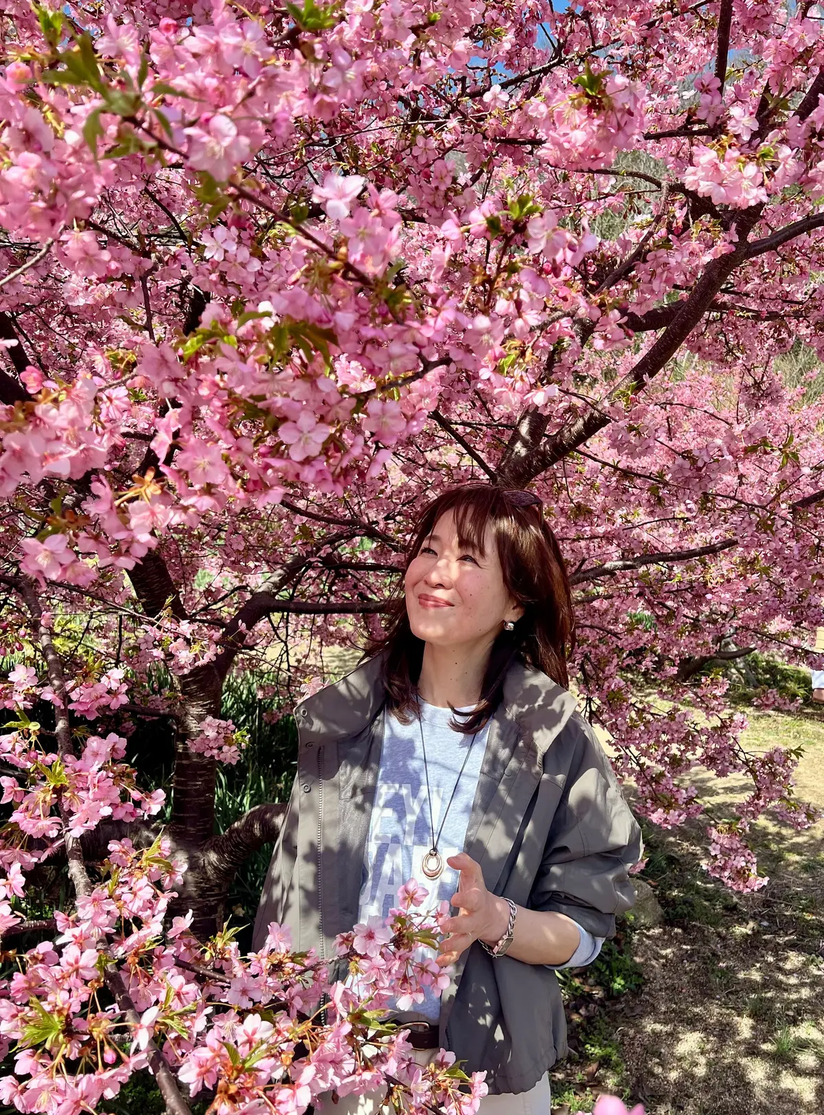 UNIQLOバレルパンツで河津桜、春の大の画像_5