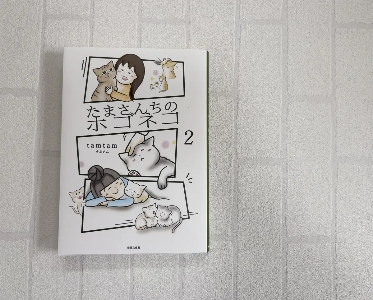 【たまさんちのホゴネコ２】tamtamタムタム