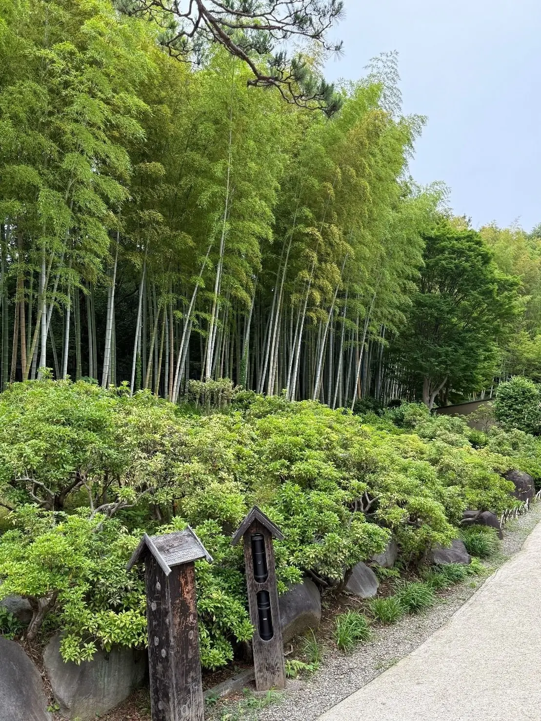 国営昭和記念公園、日本庭園、竹林と低木が茂る庭園で、芝生に囲まれた小屋型の木製の鳥小屋が2つ並んでいる