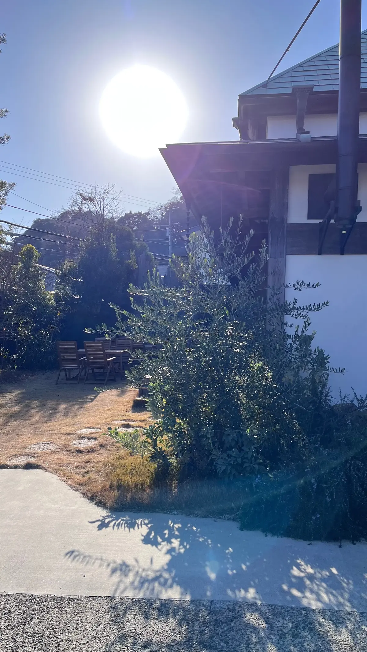 梅が見頃【鎌倉の長谷寺】と古民家カフェへの画像_16