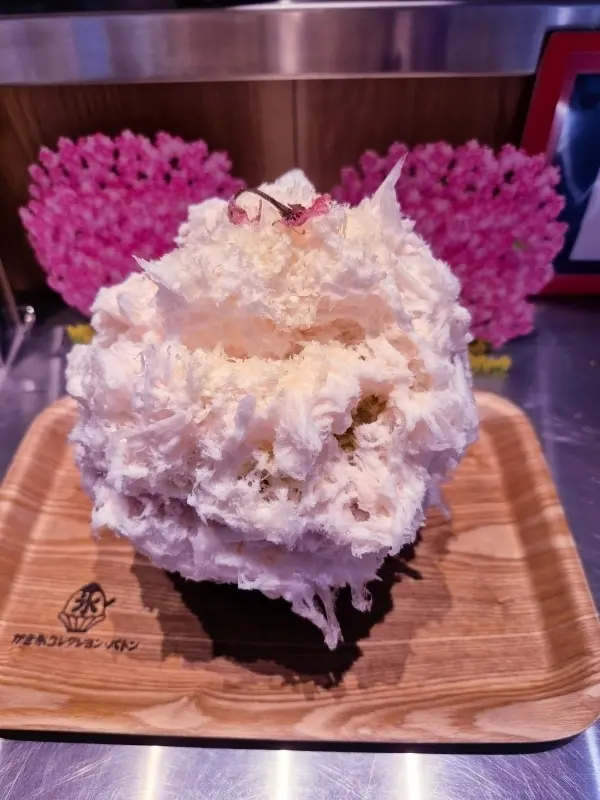 一足早いお花見コーデ🌸の画像_14