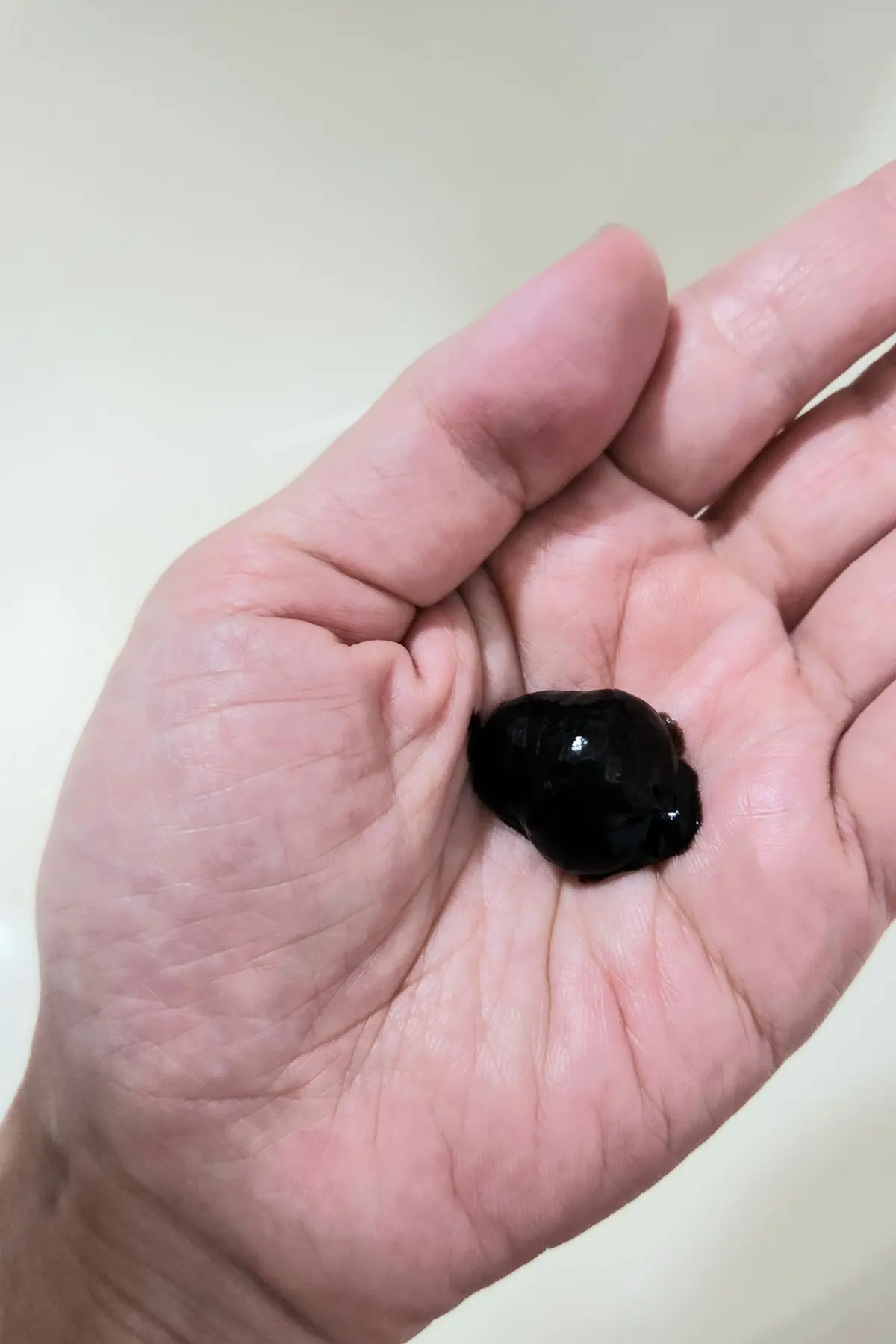 手のひらに置かれた、黒く光沢のある丸い物体。表面は滑らかで、手の中で安定している様子。