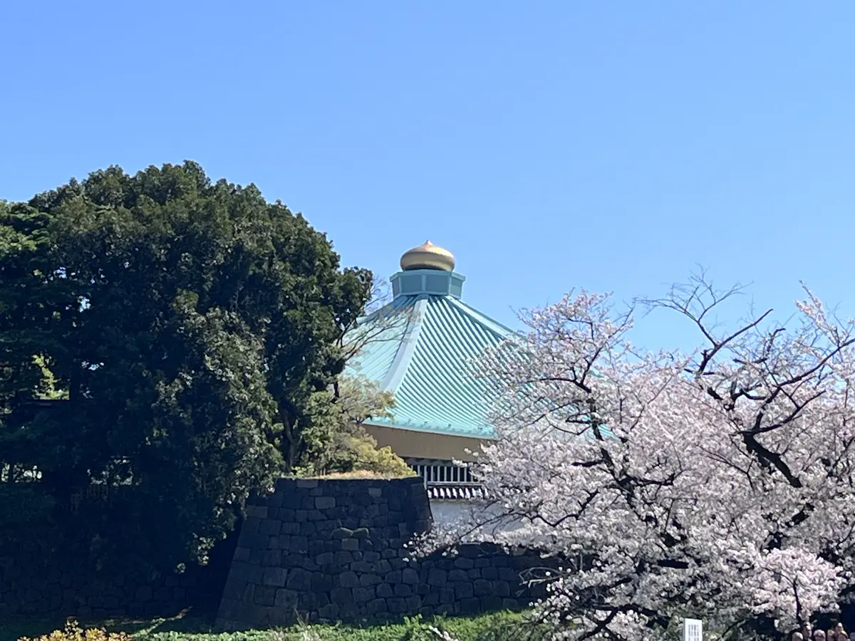 散ってしまう前にもう1回お花見🌸を♪の画像_12