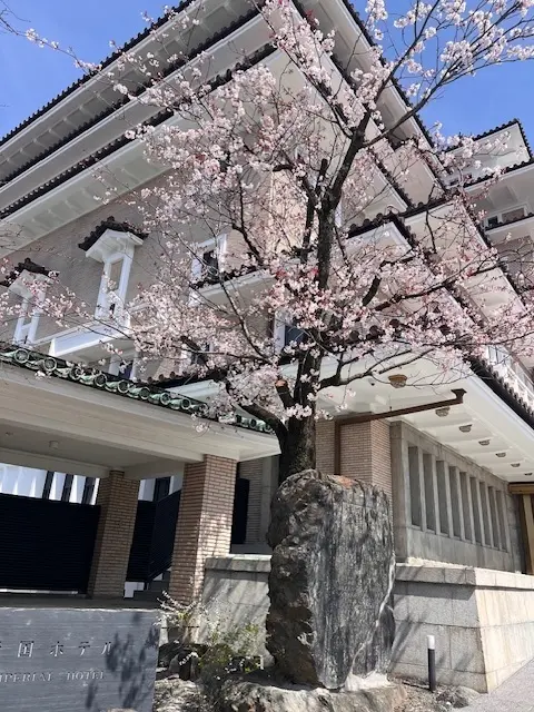 母との京都旅行　高台寺のライトアップが素の画像_3