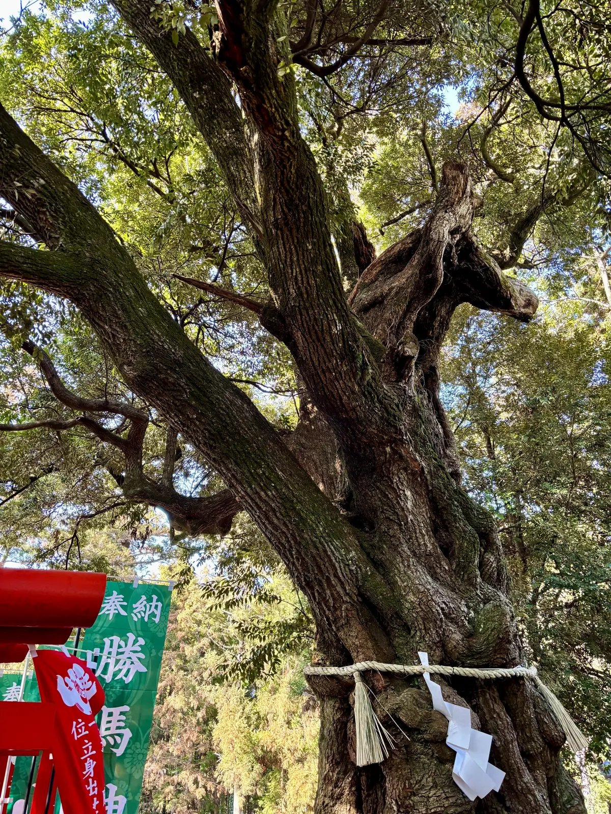 茨城県へお出かけ。自然に囲まれた納屋カフの画像_8