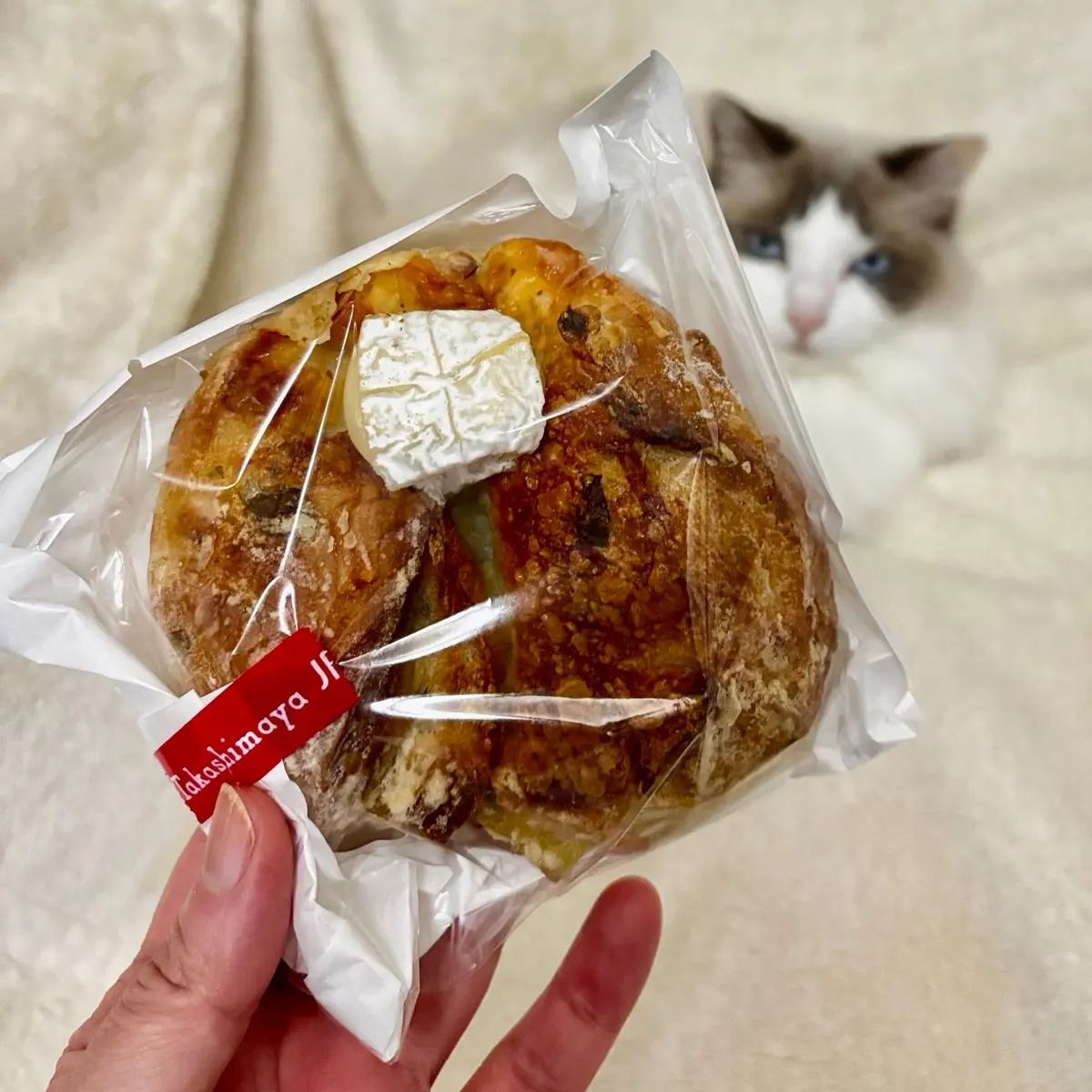 セロリとカマンベールのパン