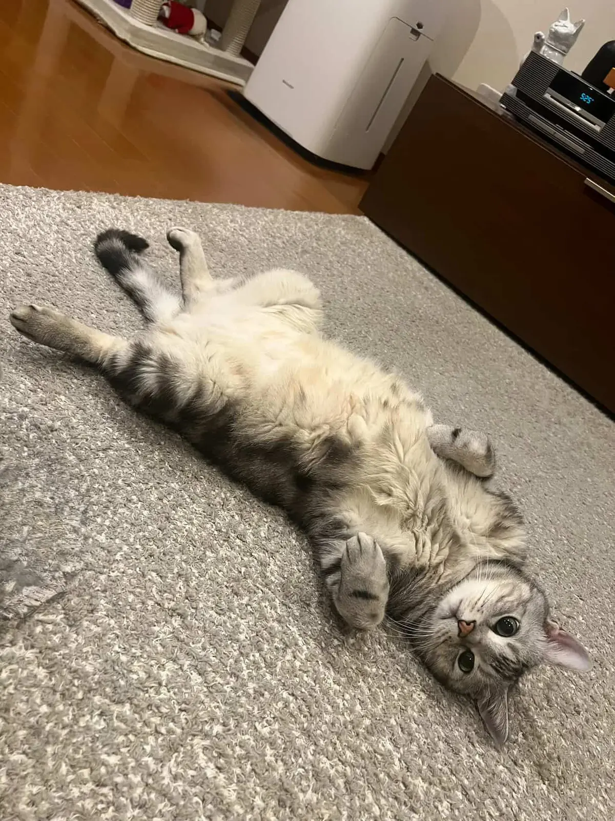 エクラプレミアム3月号カタログ撮影。“Mの画像_6