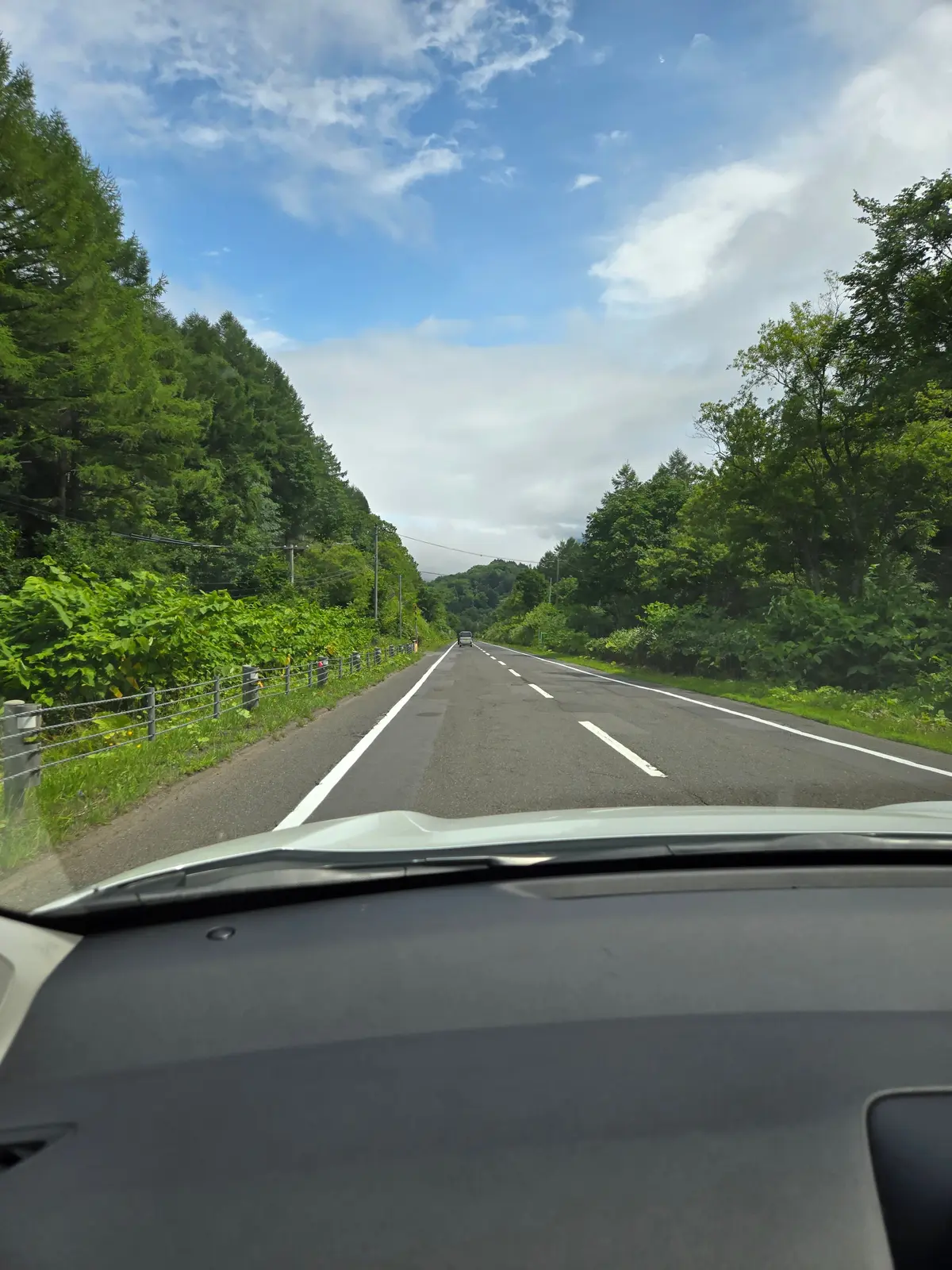 直線が続く道。両脇には緑豊かな木々が生い茂り、青空に白い雲が浮かんでいる。