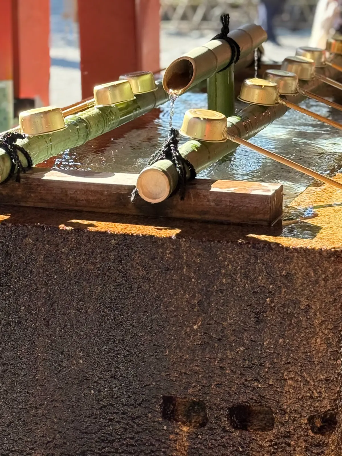 鎌倉　鶴岡八幡宮　境内