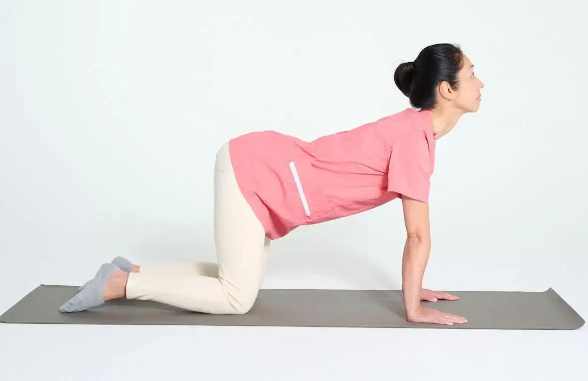 ストレッチ　骨盤底筋