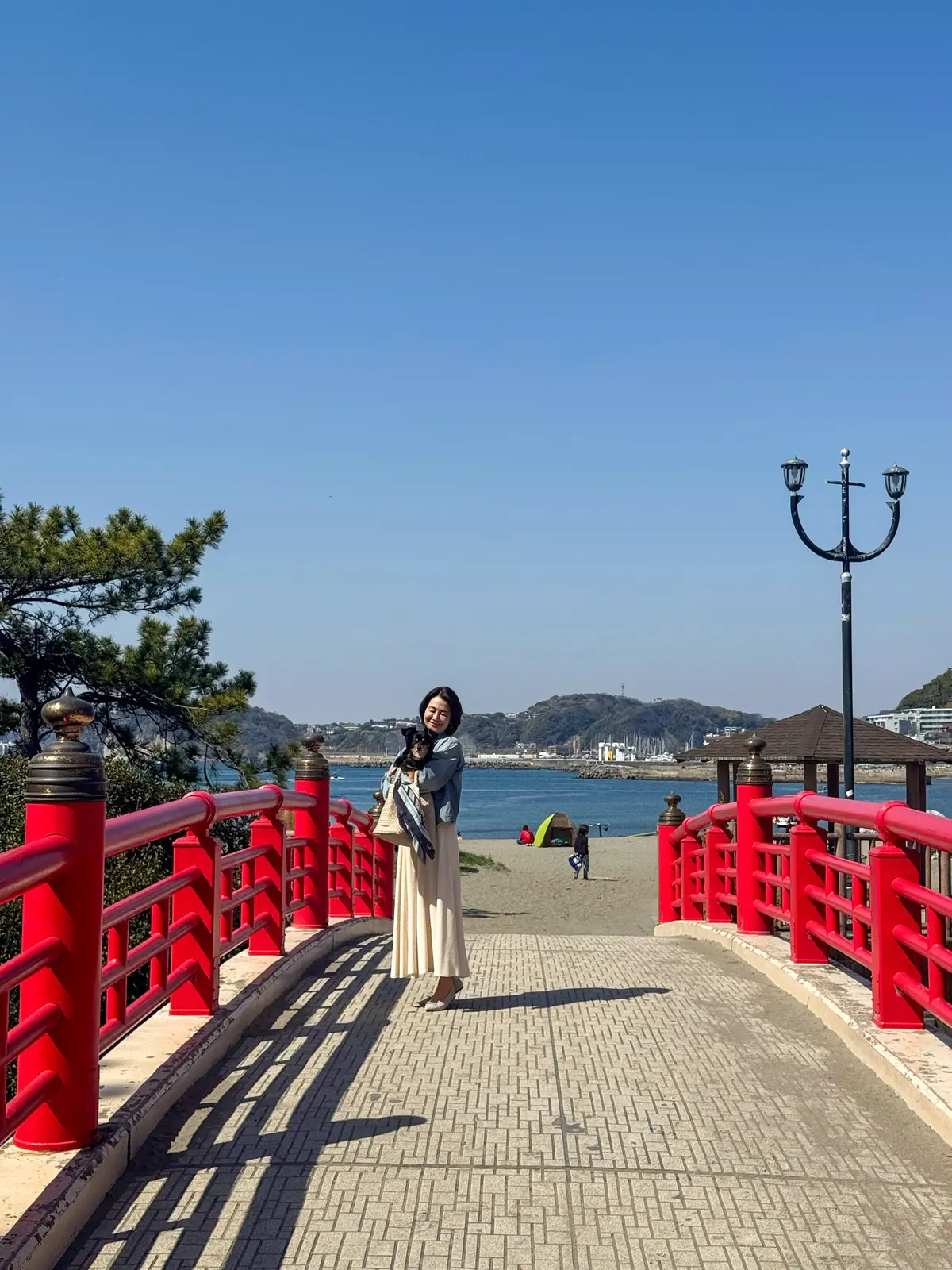 葉山さんぽ｜名物ランチ、パワースポット、の画像_9