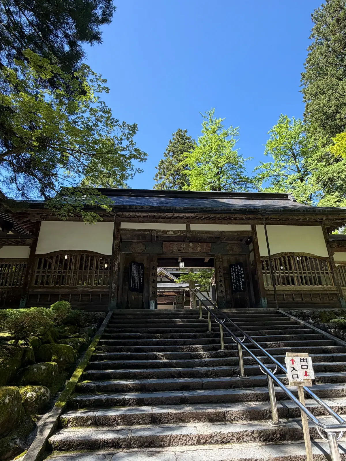 木造の寺院に石段を登る様子、両側に手すりがあり、緑豊かな木々が背景に広がる