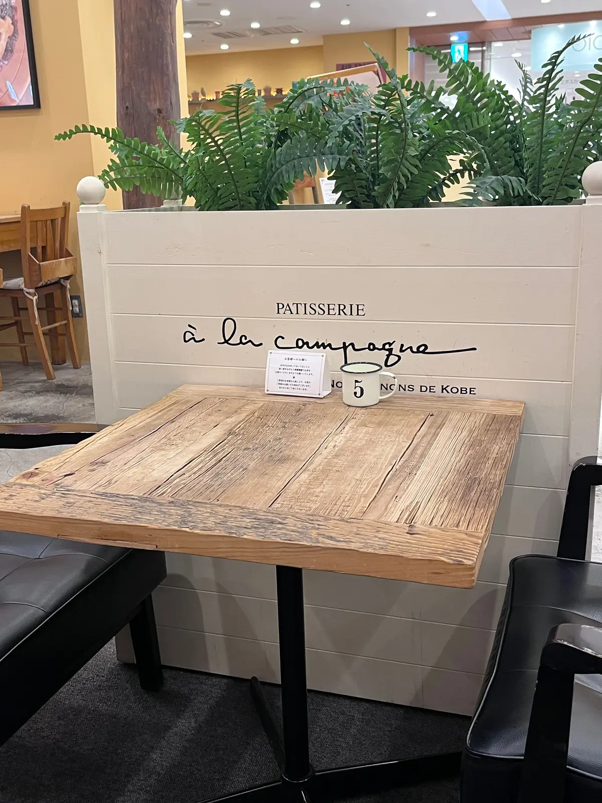 近づく桜の季節の画像_3