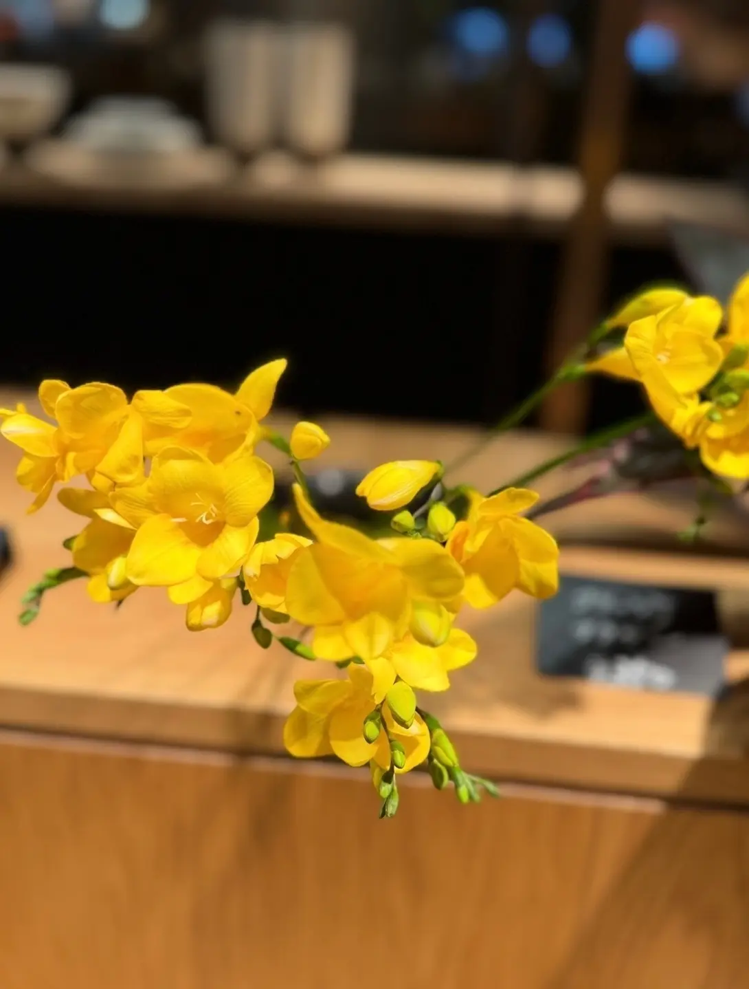 NEWoMan高輪28階の空中庭園は美しの画像_3