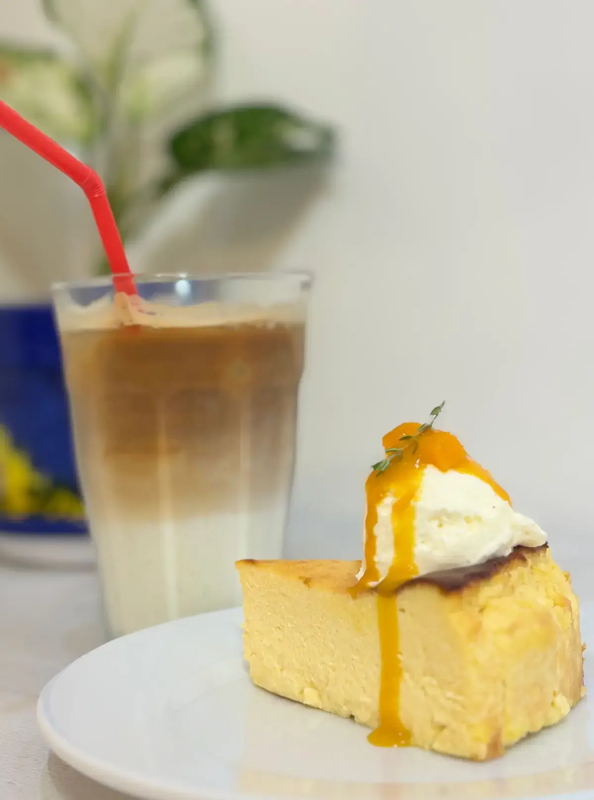 CHEESECAKE CLUB