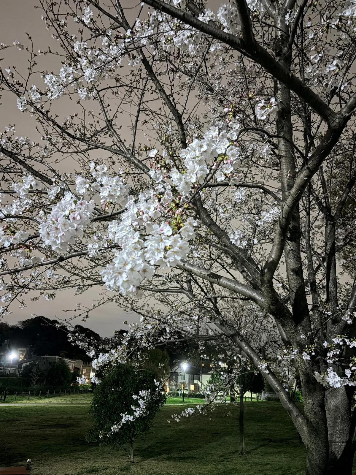 「今着なきゃいつ着るの！？」アラフィフピの画像_14