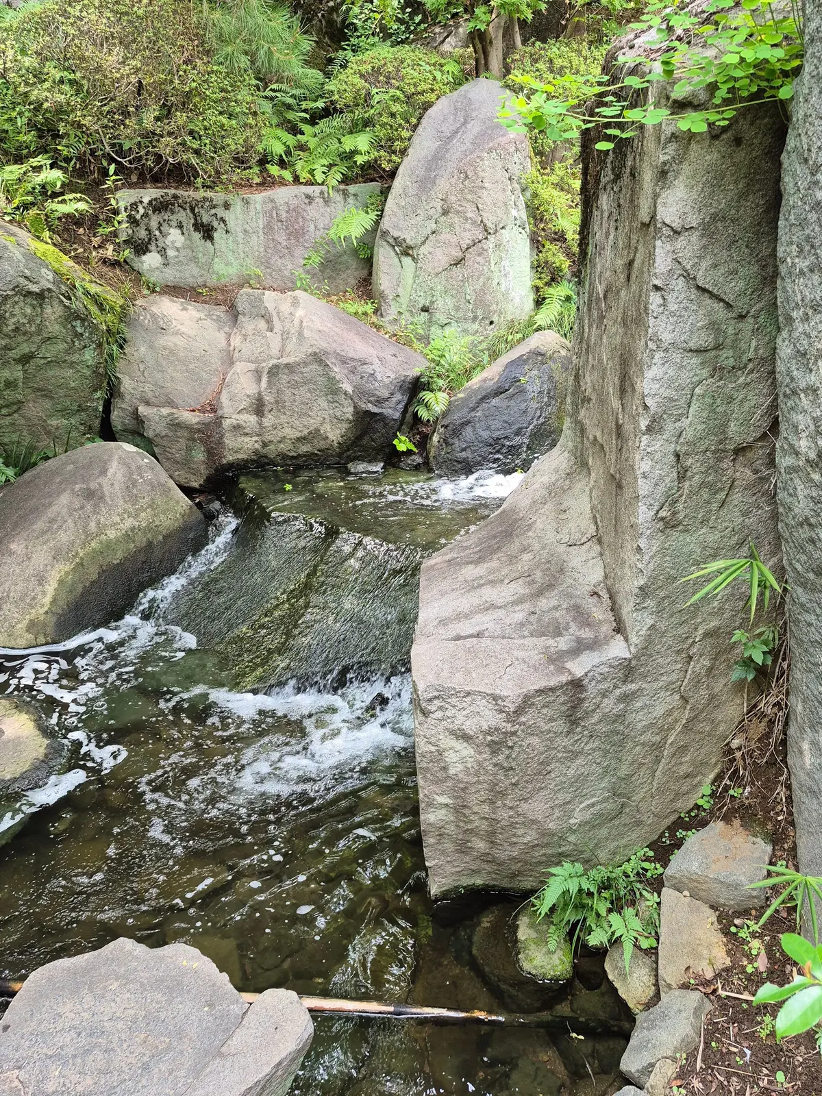 岩場を流れる小川。水は流れが速く、白い泡が立っている。周囲には緑の植物が生い茂り、岩肌と水辺のコントラストが鮮明。