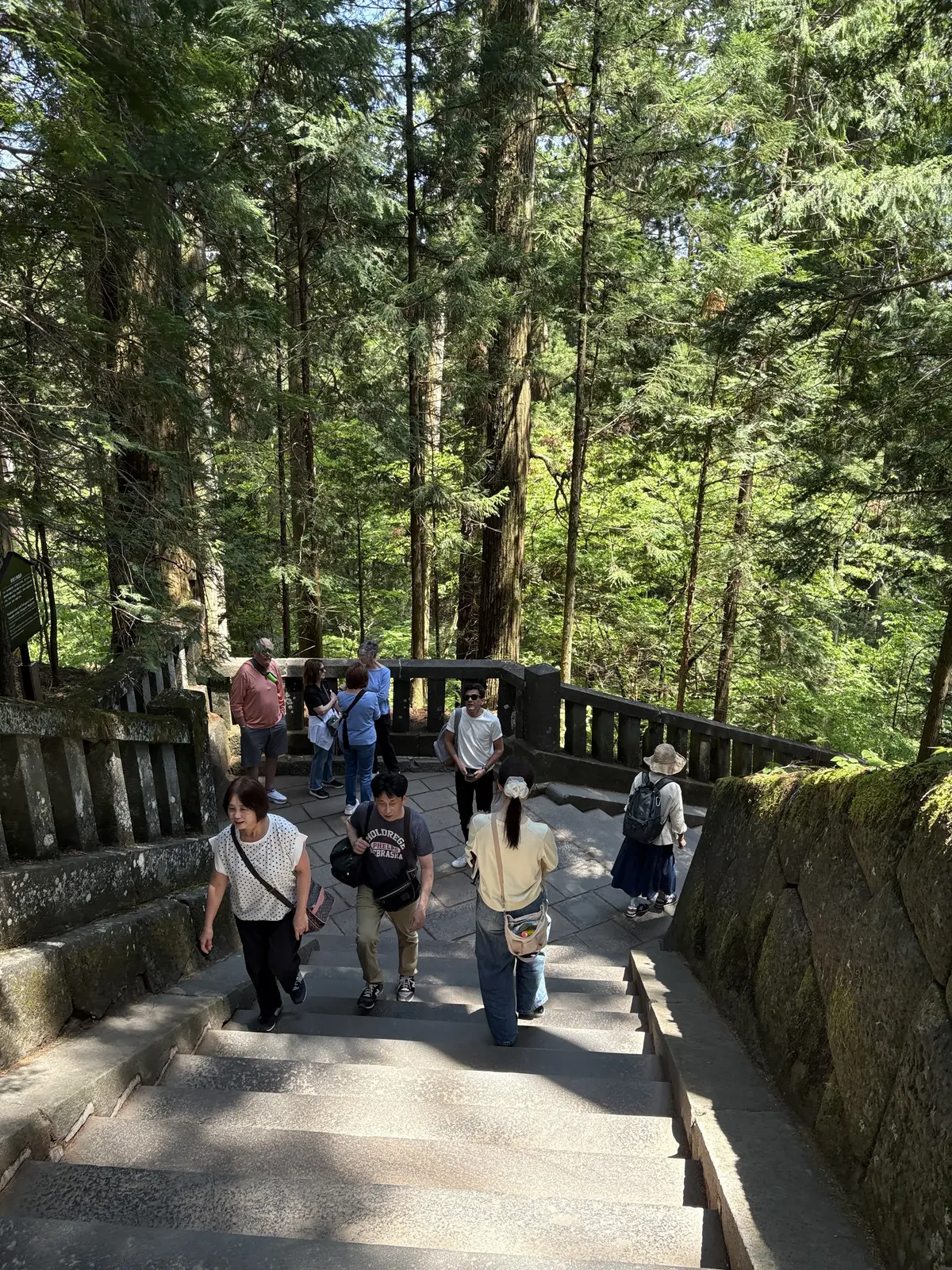 【GW】日光にワンコと家族旅行！犬と気兼の画像_15