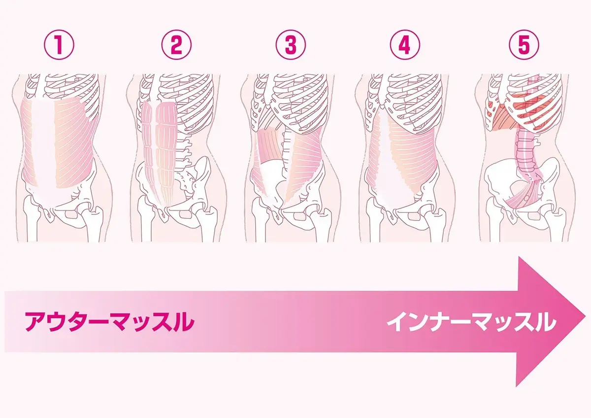 インナーマッスル