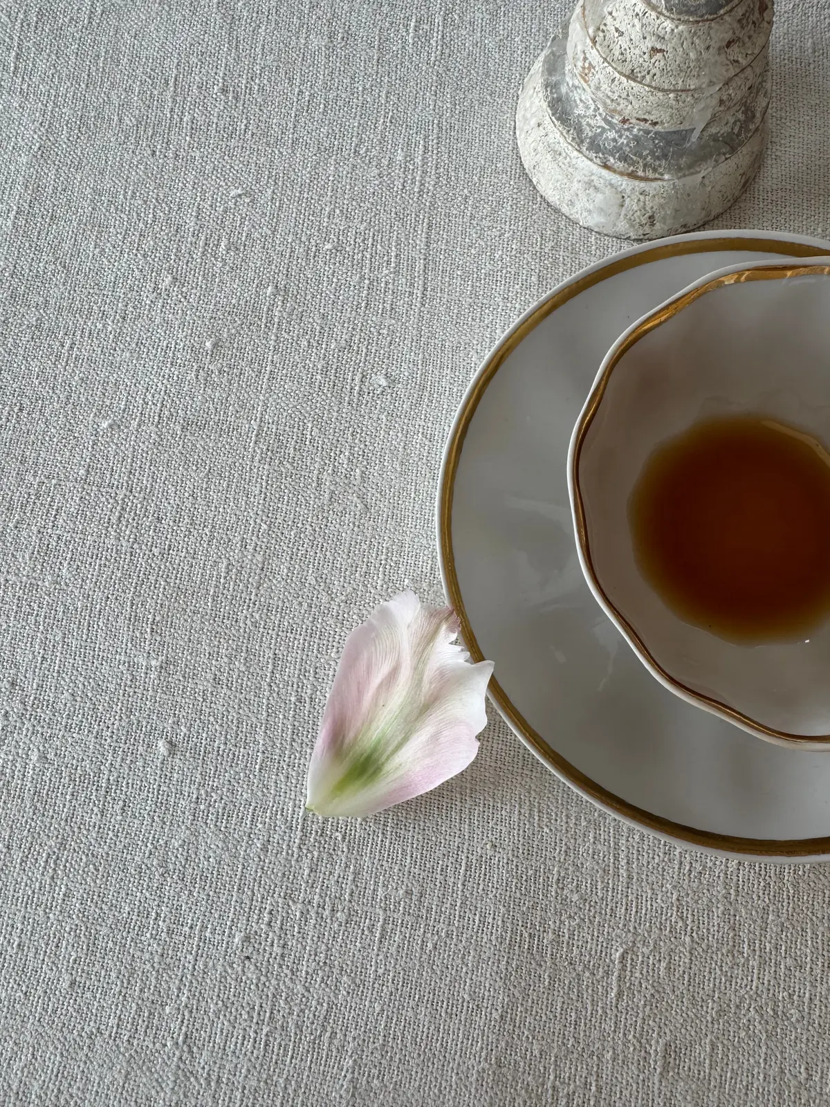 にゃんこに会いに、そして（ついでに）アフの画像_6