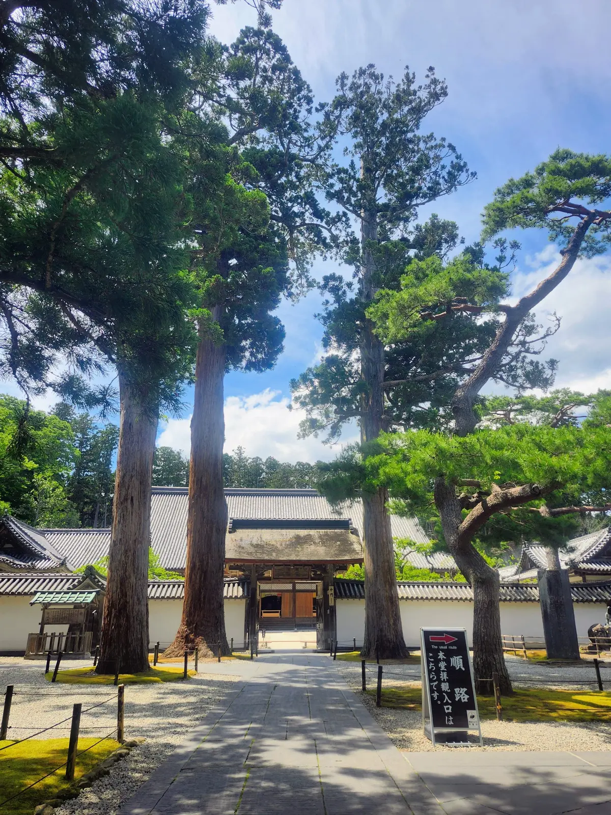 女子旅、仙台、松島、日本三景、牛タン、仙台グルメ、喫茶店、仙令鮨、ホシヤマ珈琲店、閣、東北大学、瑞鳳殿、伊達政宗、松華堂、カステラ、円通院、瑞巌寺、笹かまぼこ、甘味処、あんみつ、彦いち