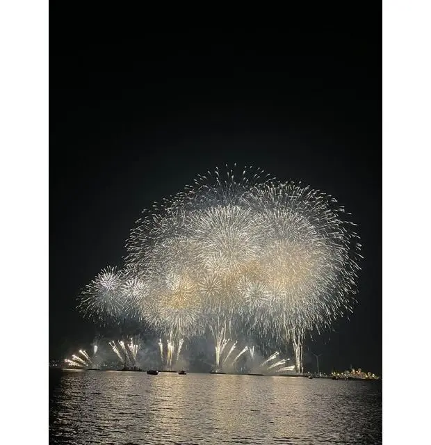夜空を埋め尽くす、多数の白い花火が水面上で輝いている様子。遠くに船が見える。