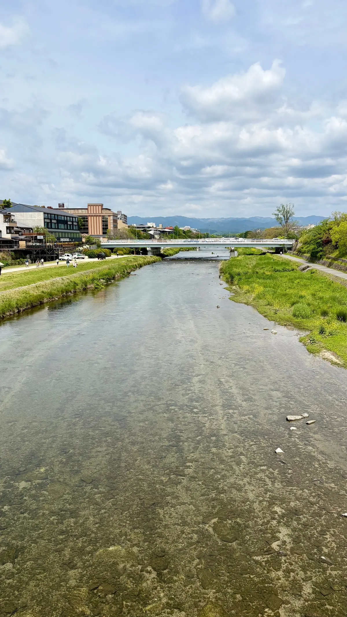 神韻　SHEN YUN　2026の画像_11