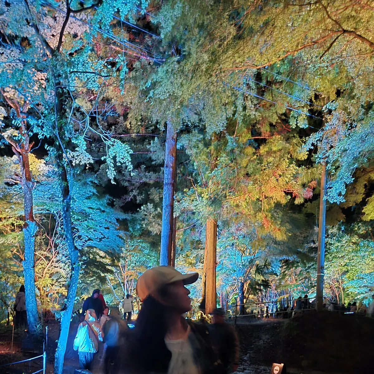 【ちばTrip】自然と光のアートが織り成の画像_9