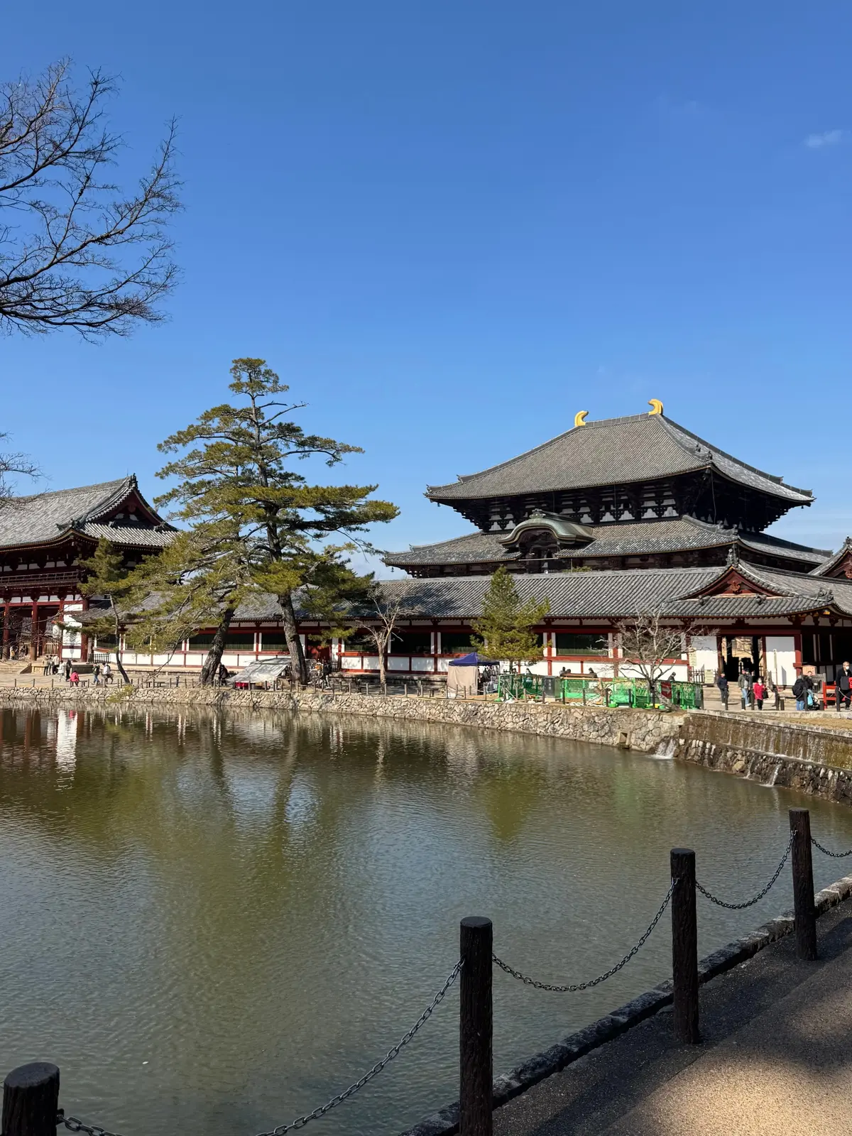 美味いもん＆御朱印を求めて母娘弾丸2人旅の画像_35