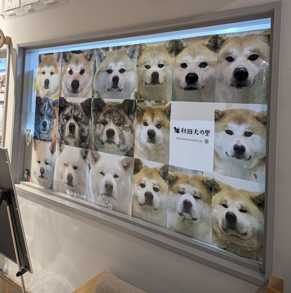 窓に貼られた、秋田犬の愛らしい写真が並んだポスター。様々な表情の犬たちが写し出され、右上に「秋田犬の里 akitainunosato.jp」のロゴがある。