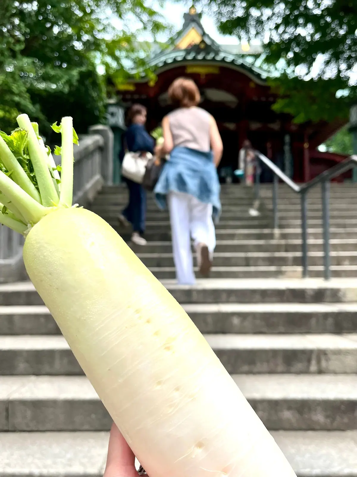 階段を上がる人々の背景に、白い大根が手で握られている写真。大根は葉付きで、表面は滑らか。