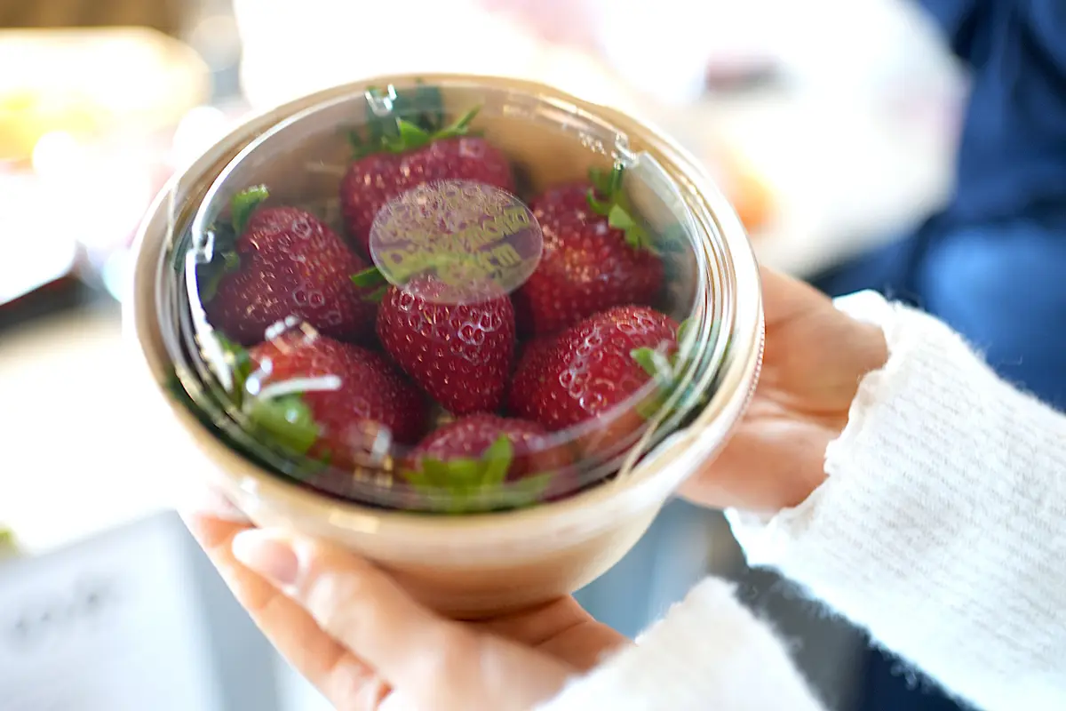 リバーモンドファーム＆アベイユ 