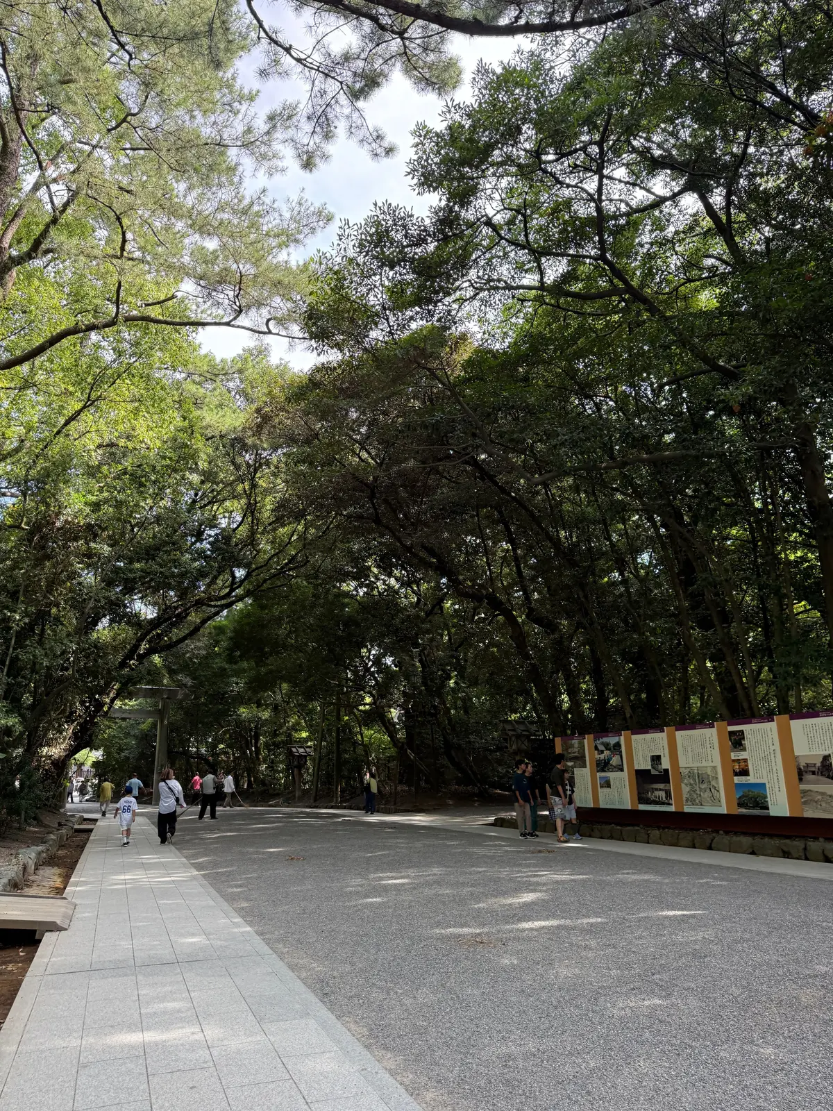 歩道が続く並木道。左右に緑豊かな木々が生い茂り、中央には解説板が設置されている。数人が歩いている。