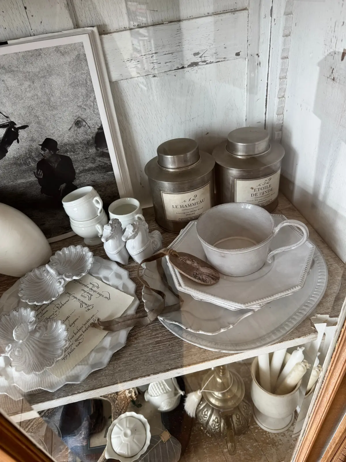 にゃんこに会いに、そして（ついでに）アフの画像_3