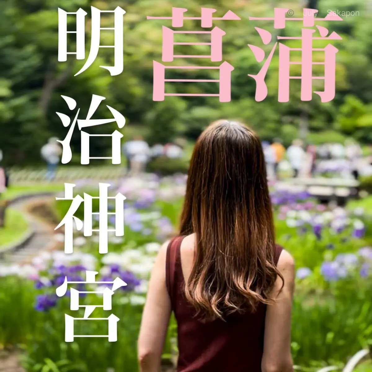 長髪の女性が花畑を眺める様子、背景に鮮やかな花が咲き乱れる