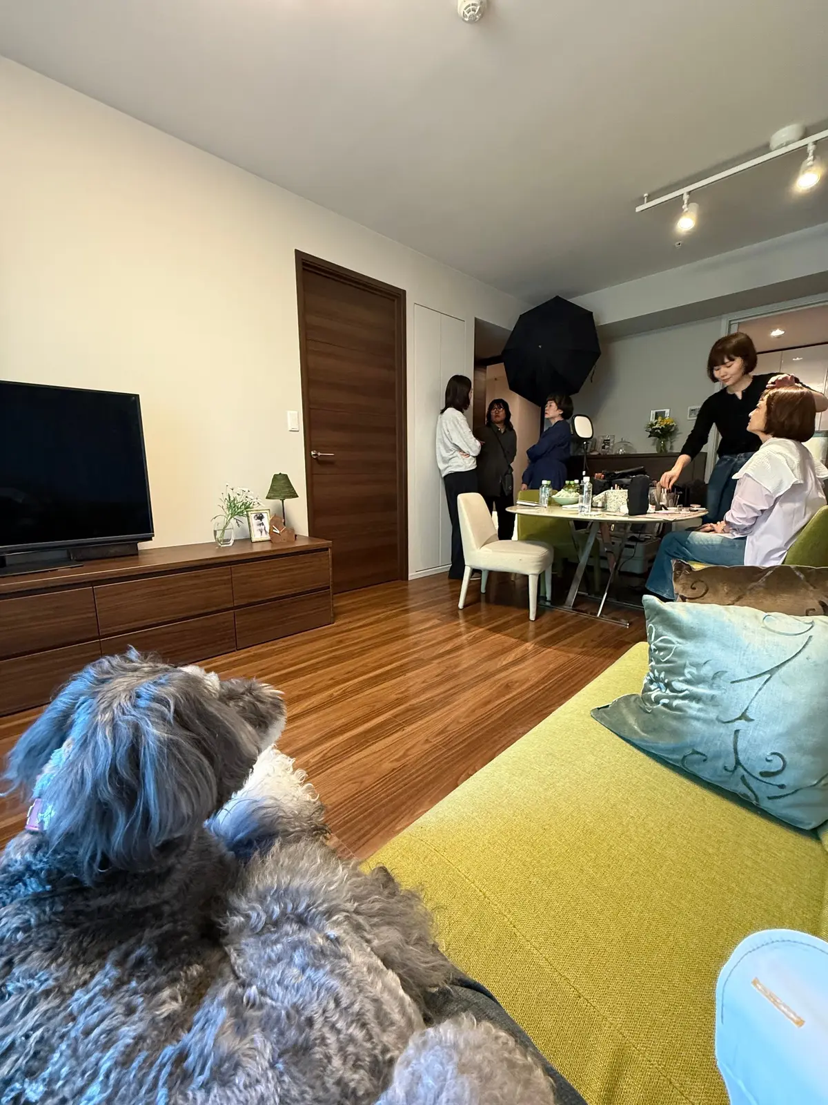 リビングルームで数人の女性が会話中、犬がソファの上に座り、テレビ台やテーブルが配置された居間