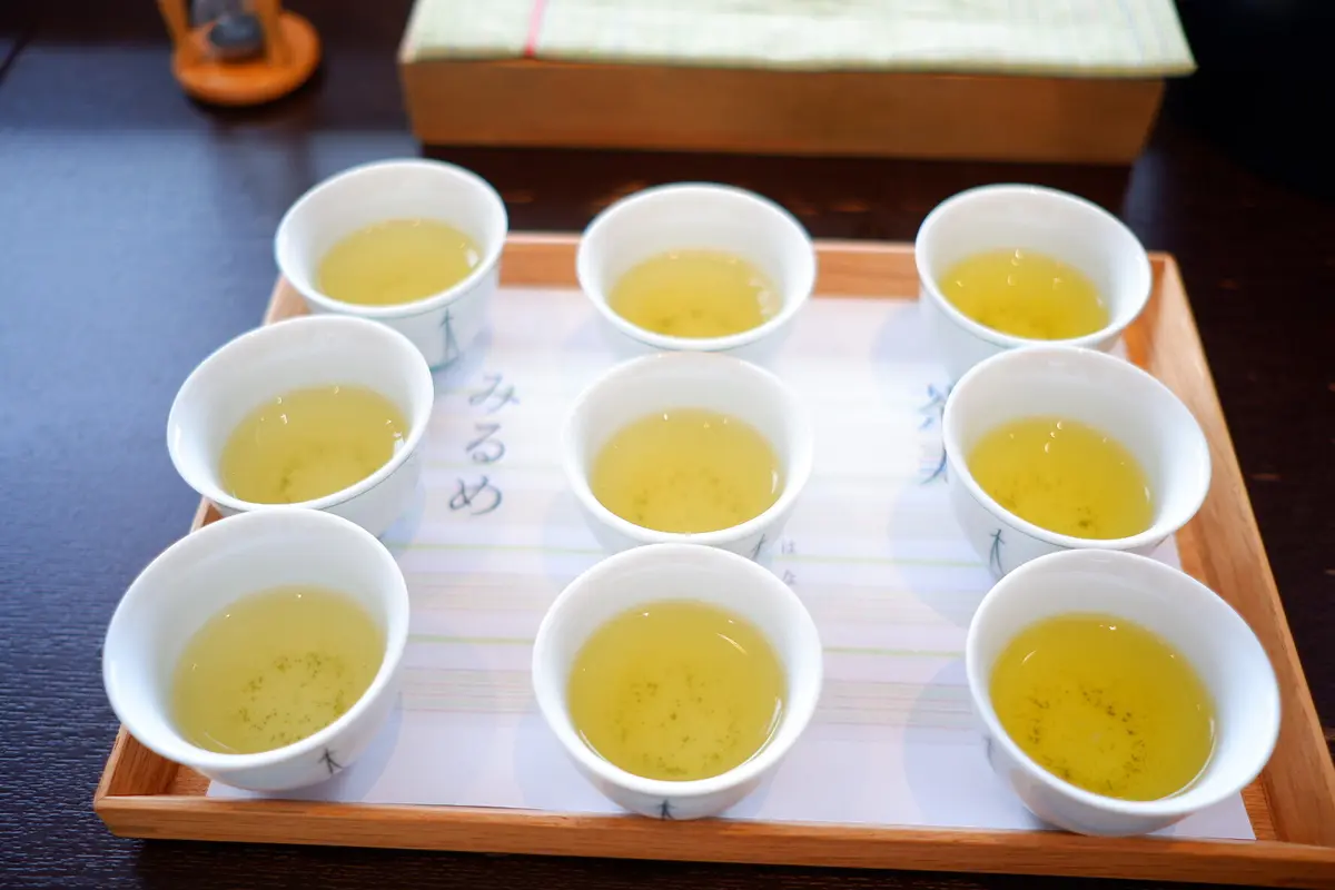 利き茶体験