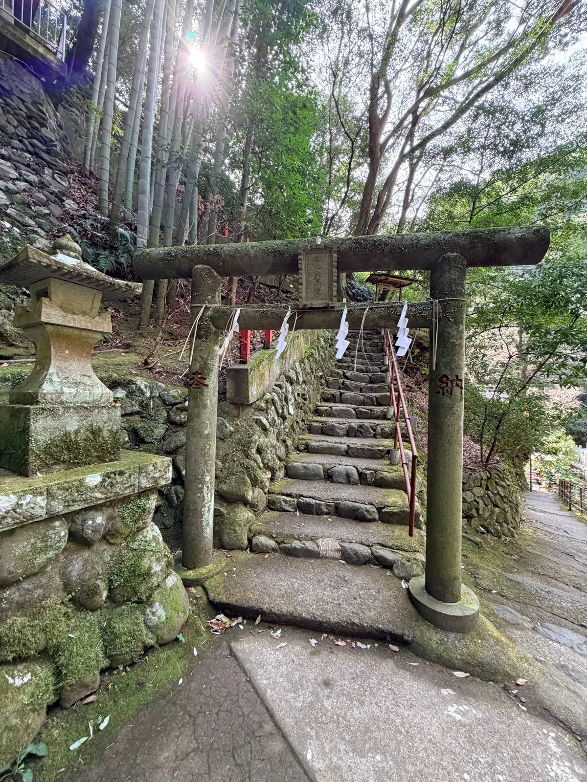 春の湯河原は、4000本の梅の花じゅうたの画像_16